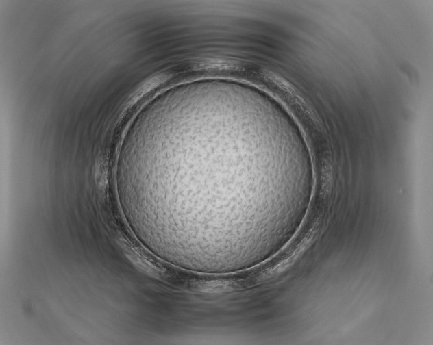 X0000112471017200908311345