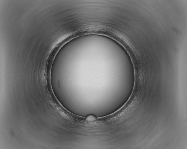 X0000112471018200908311346