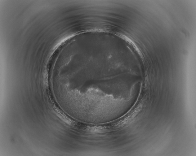 X0000112471019200908311346