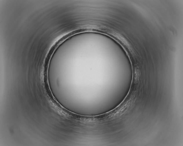 X0000112471020200908311346