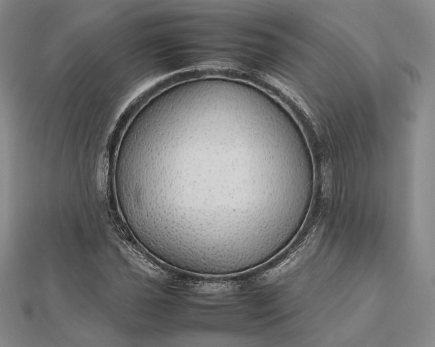 X0000112471021200908311346