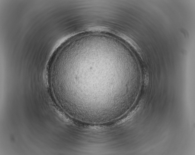 X0000112471022200908311346