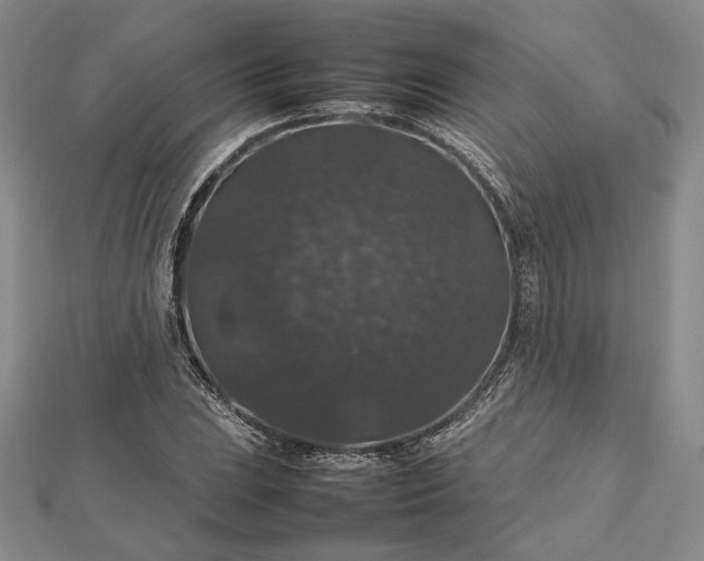 X0000112471023200908311346