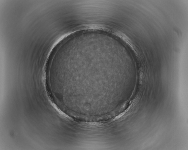 X0000112471024200908311346