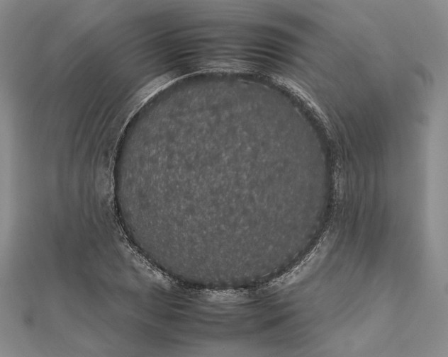 X0000112471025200908311346