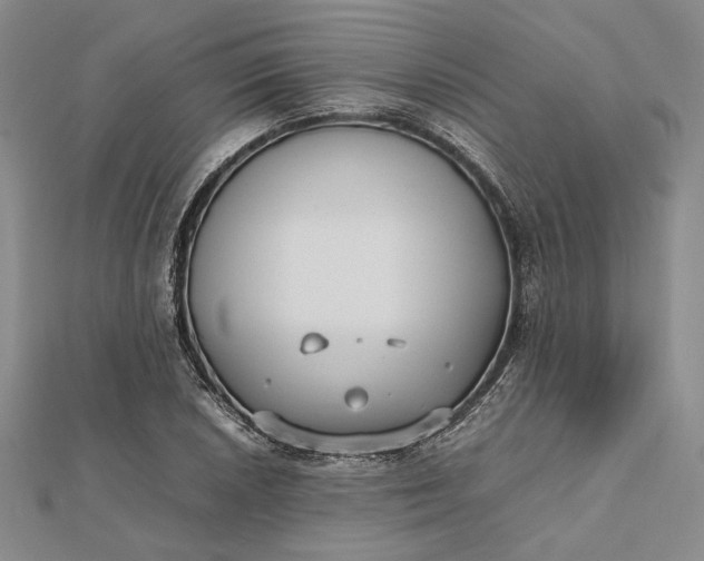 X0000112471026200908311346