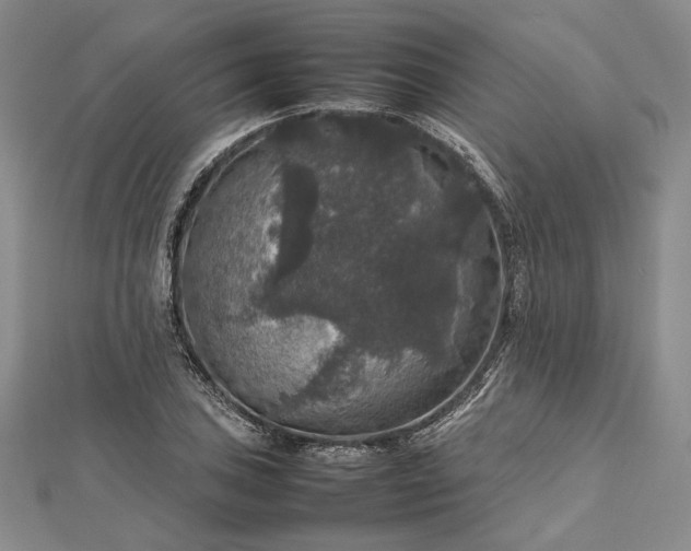 X0000112471027200908311346