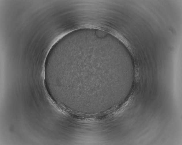 X0000112471028200908311346