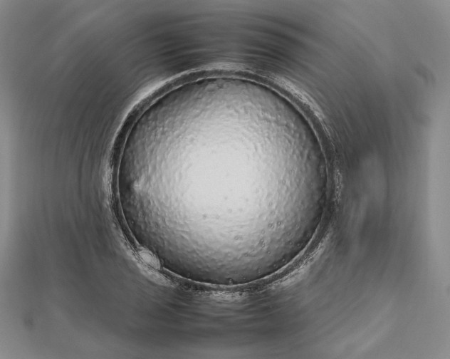 X0000112471029200908311346