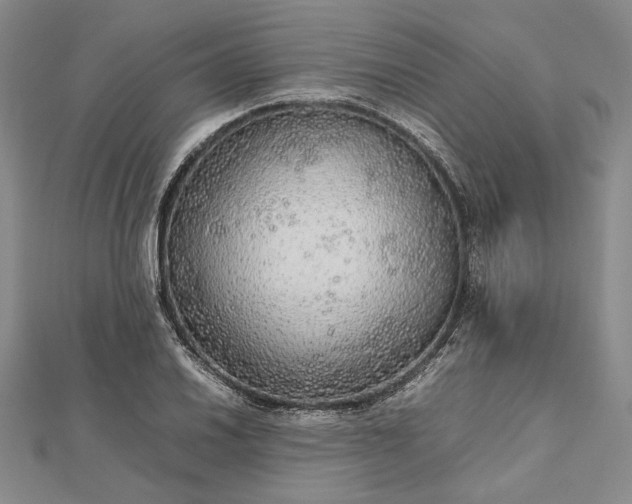 X0000112471030200908311346