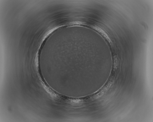 X0000112471031200908311346