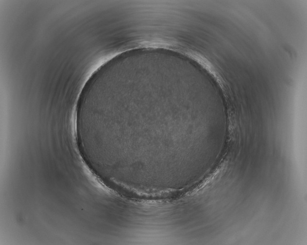 X0000112471032200908311346