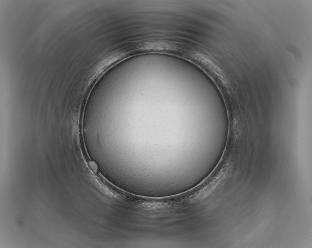 X0000112471033200908311346