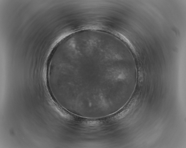 X0000112471035200908311346