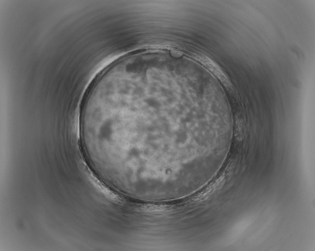 X0000112471036200908311346