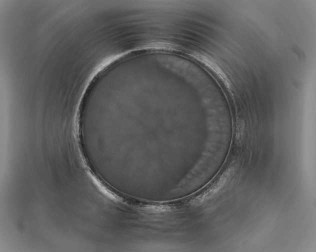 X0000112471037200908311346