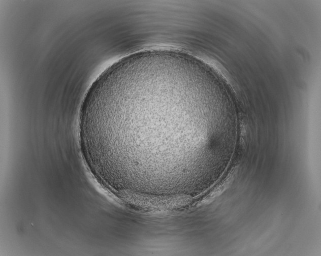 X0000112471038200908311346