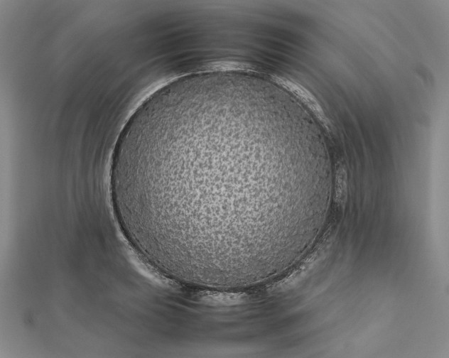 X0000112471039200908311346