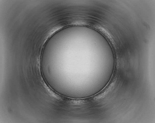 X0000112471041200908311346