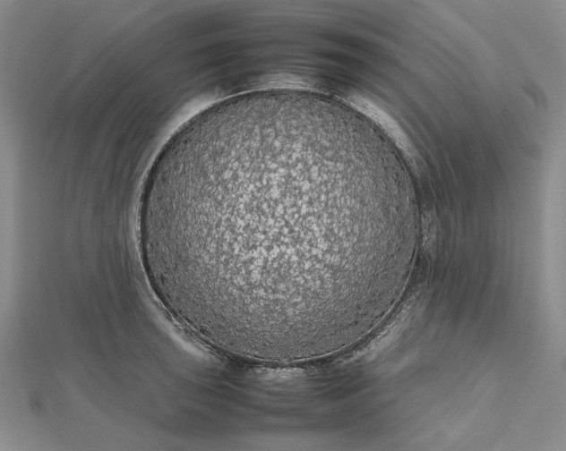 X0000112471043200908311346