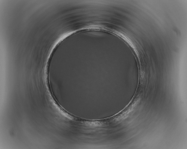 X0000112471045200908311346