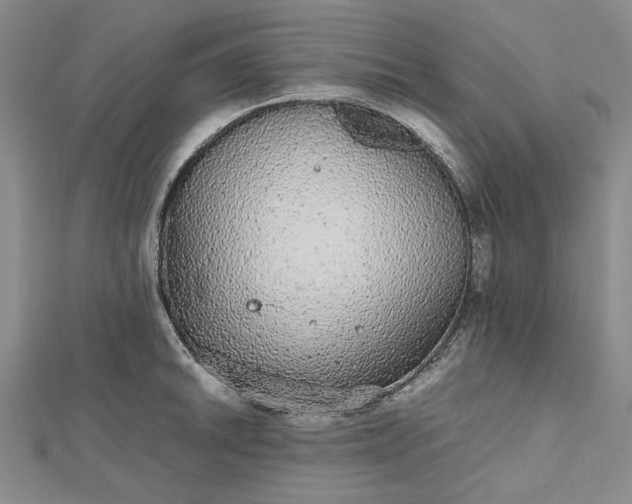 X0000112471046200908311346