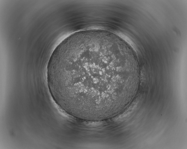 X0000112471047200908311346