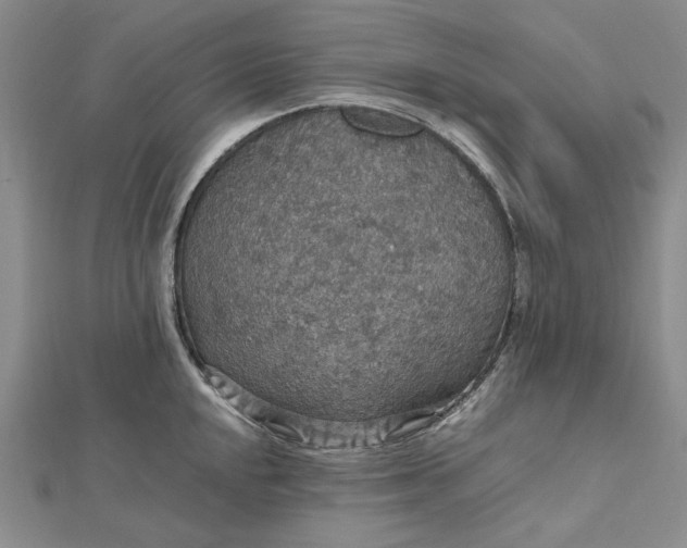 X0000112471048200908311346