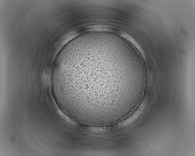 X0000112471049200908311346