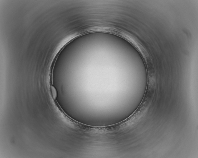 X0000112471050200908311346