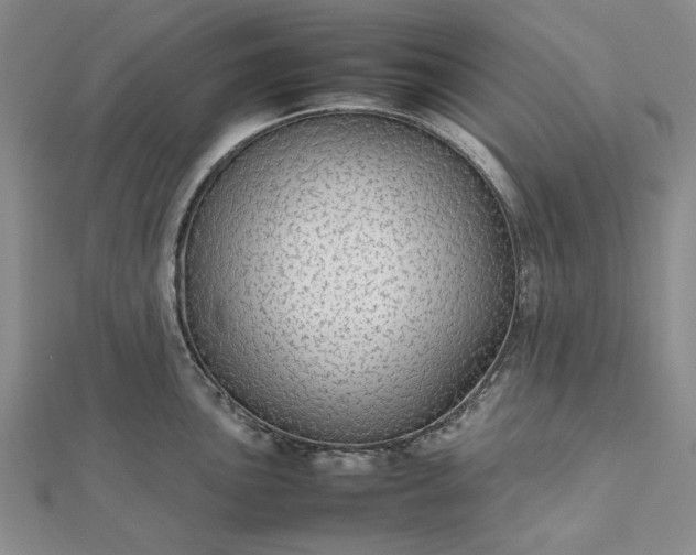 X0000112471051200908311346