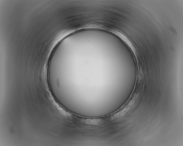 X0000112471053200908311346