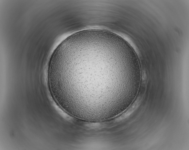 X0000112471054200908311346