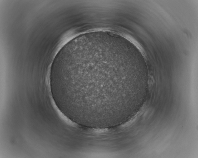 X0000112471055200908311346