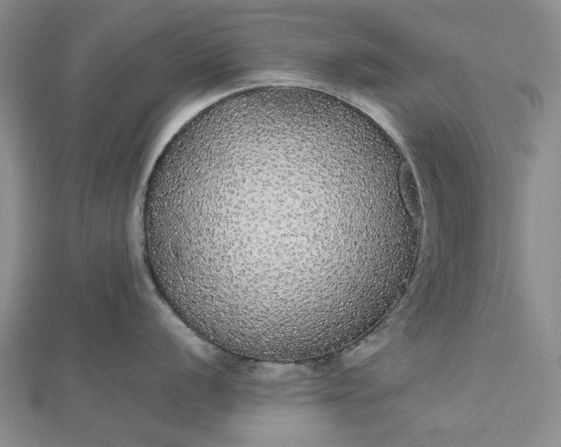 X0000112471056200908311346