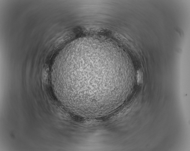 X0000112471059200908311345