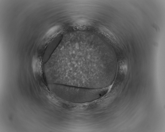 X0000112471060200908311345