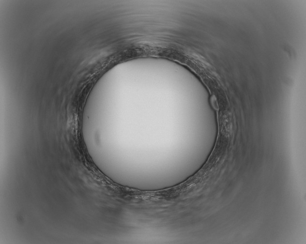 X0000112471061200908311345