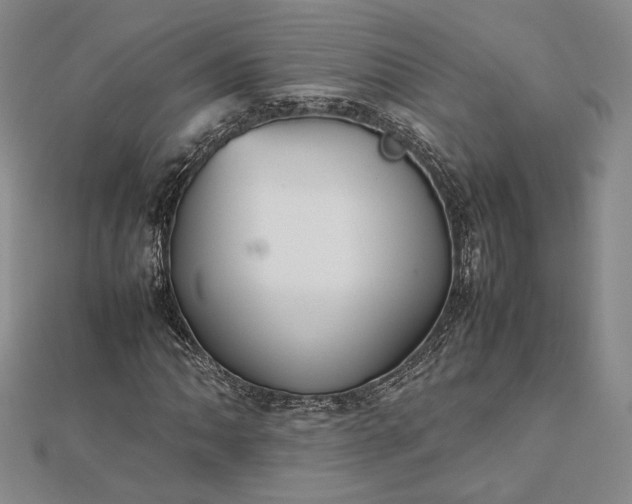 X0000112471062200908311345