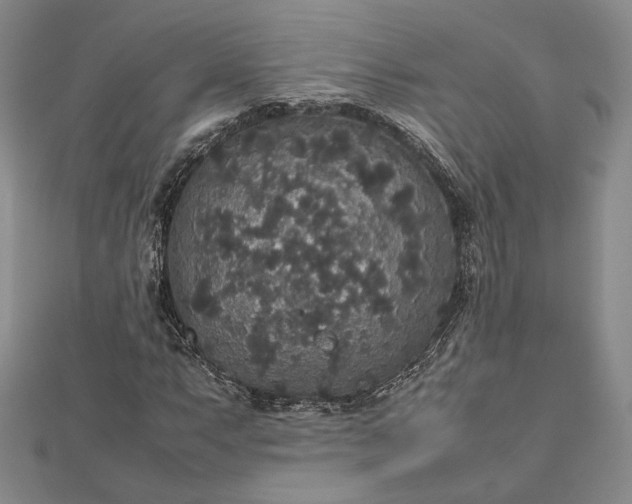 X0000112471063200908311345