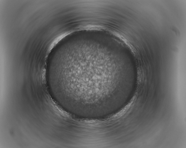 X0000112471066200908311345