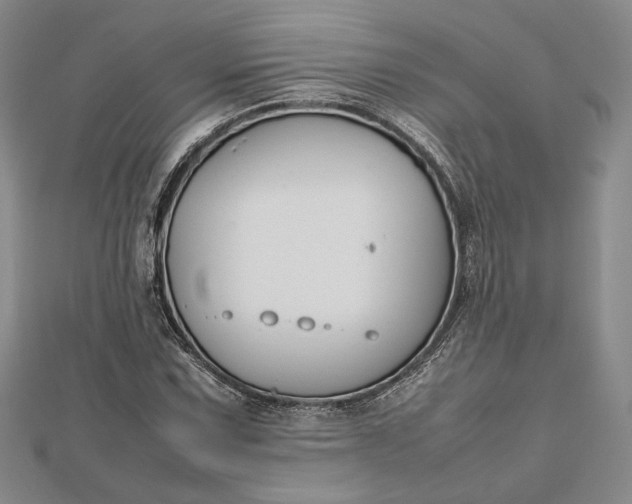 X0000112471067200908311345