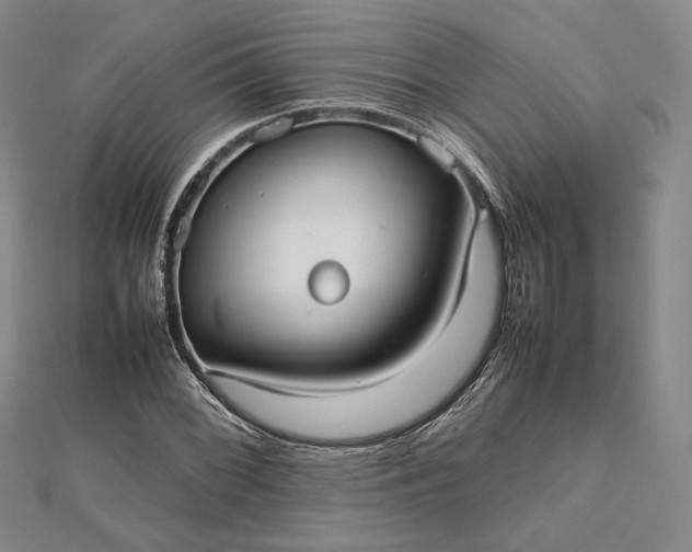 X0000112471068200908311345