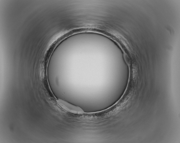 X0000112471069200908311345