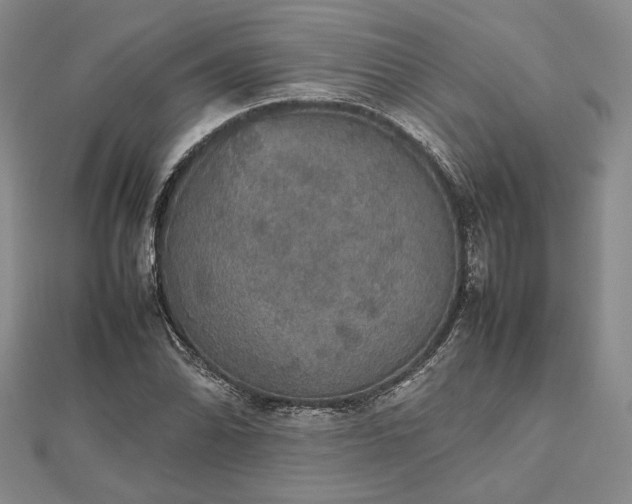 X0000112471070200908311345