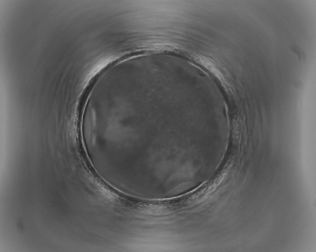 X0000112471071200908311345