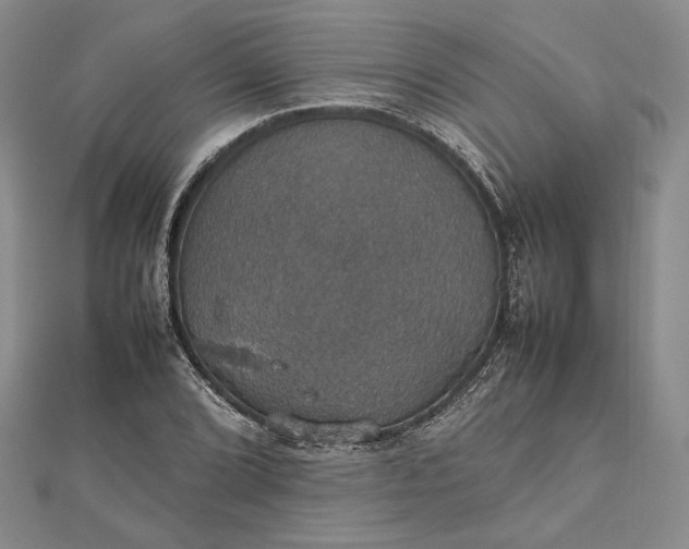 X0000112471072200908311345