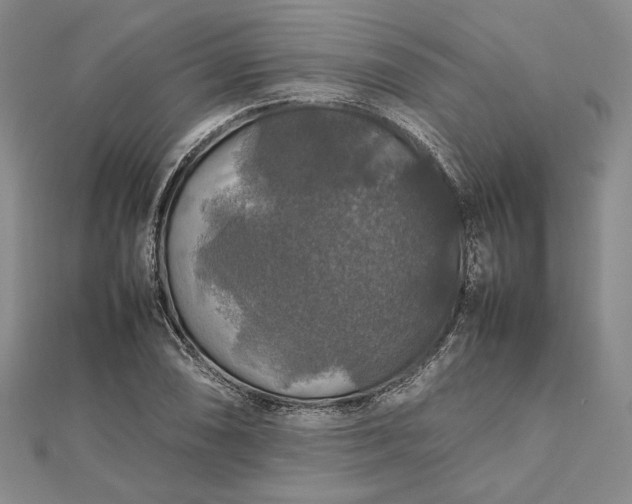 X0000112471074200908311345