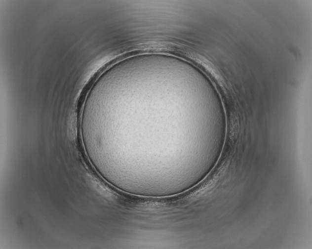 X0000112471075200908311345