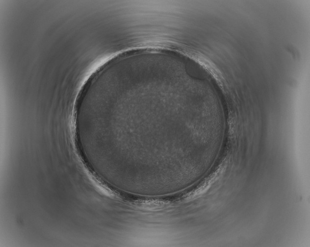 X0000112471077200908311345